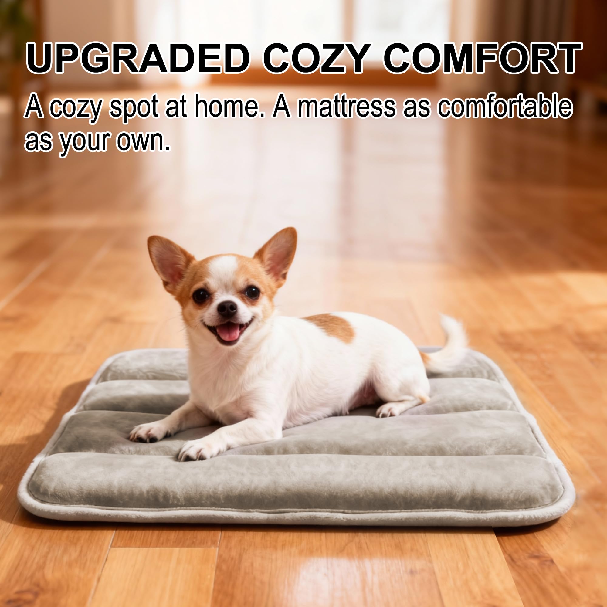 Matelas Pobopobo pour chien, lavable en machine et confortable.