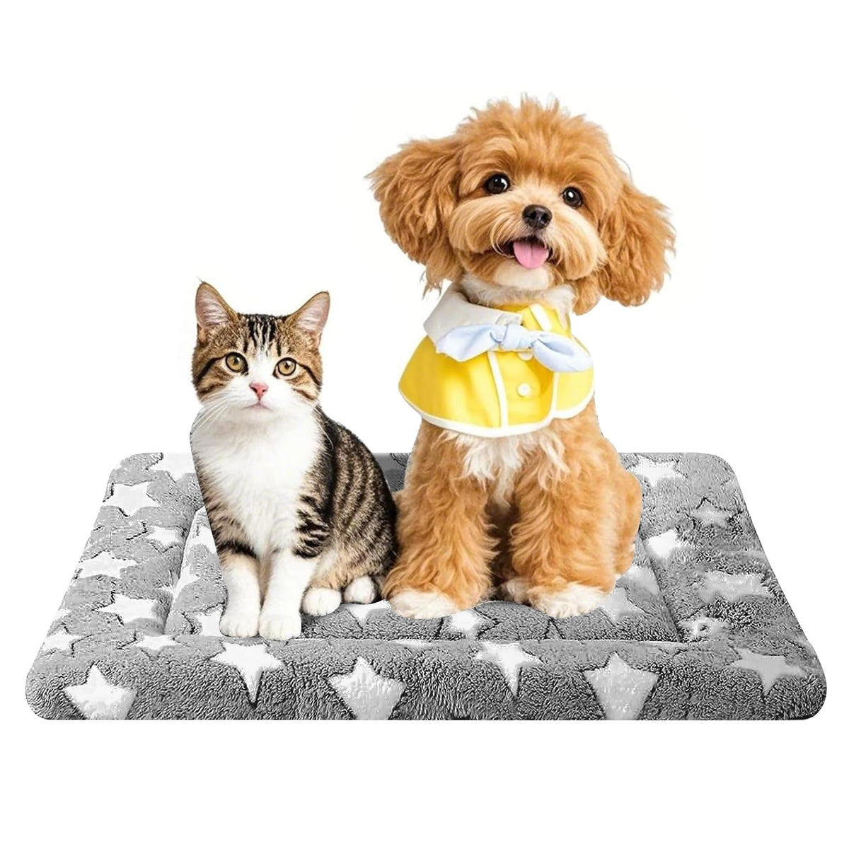 Pobopobo: tapis-caisse-chien-doux pour un repos confortable.