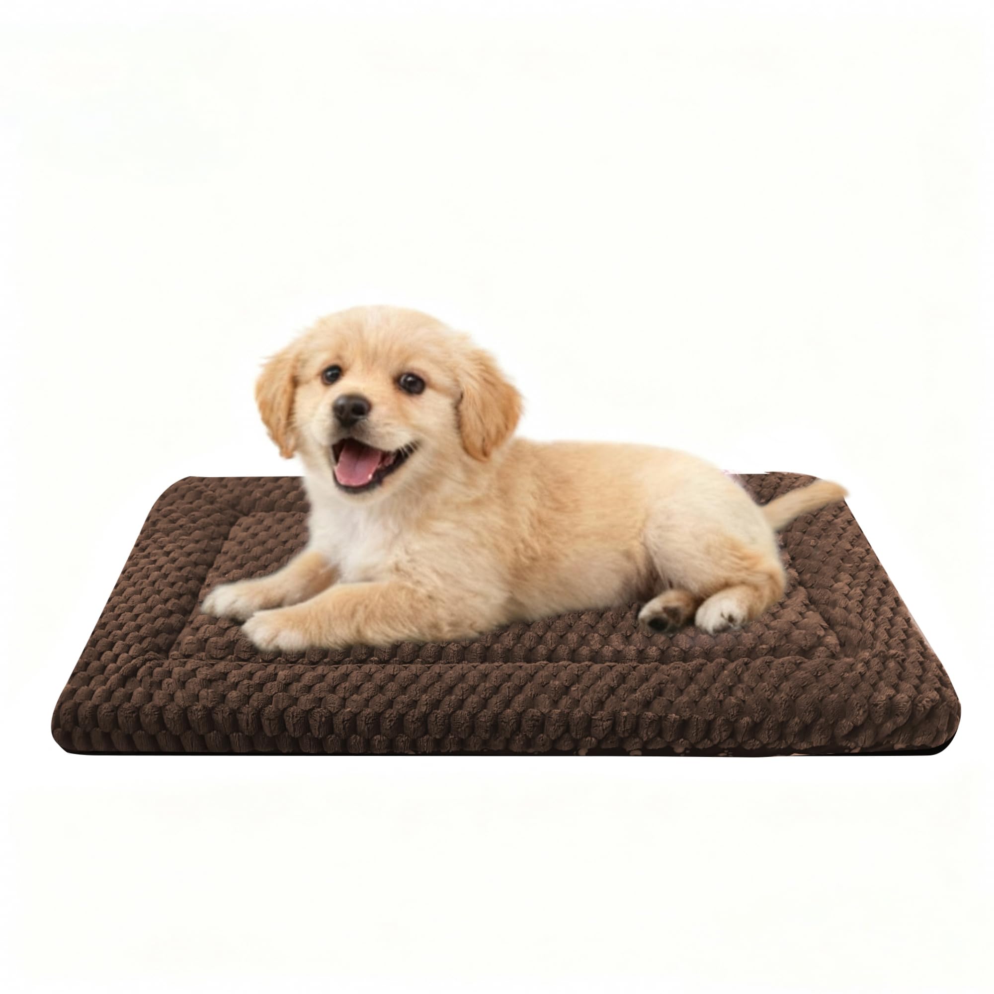 Pobopobo Tapis Caisse Chien Face Plush – confort doux et réconfortant.