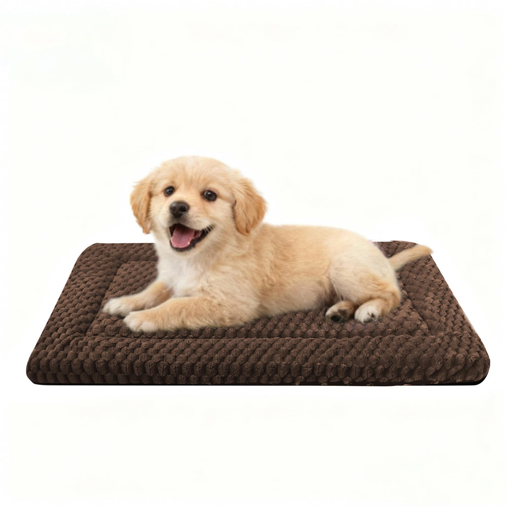Pobopobo Tapis Caisse Chien Face Plush – confort doux et réconfortant.