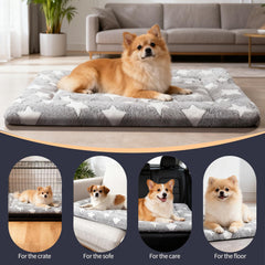 Pobopobo: tapis-caisse-chien-usage-exterieur idéal pour camping.