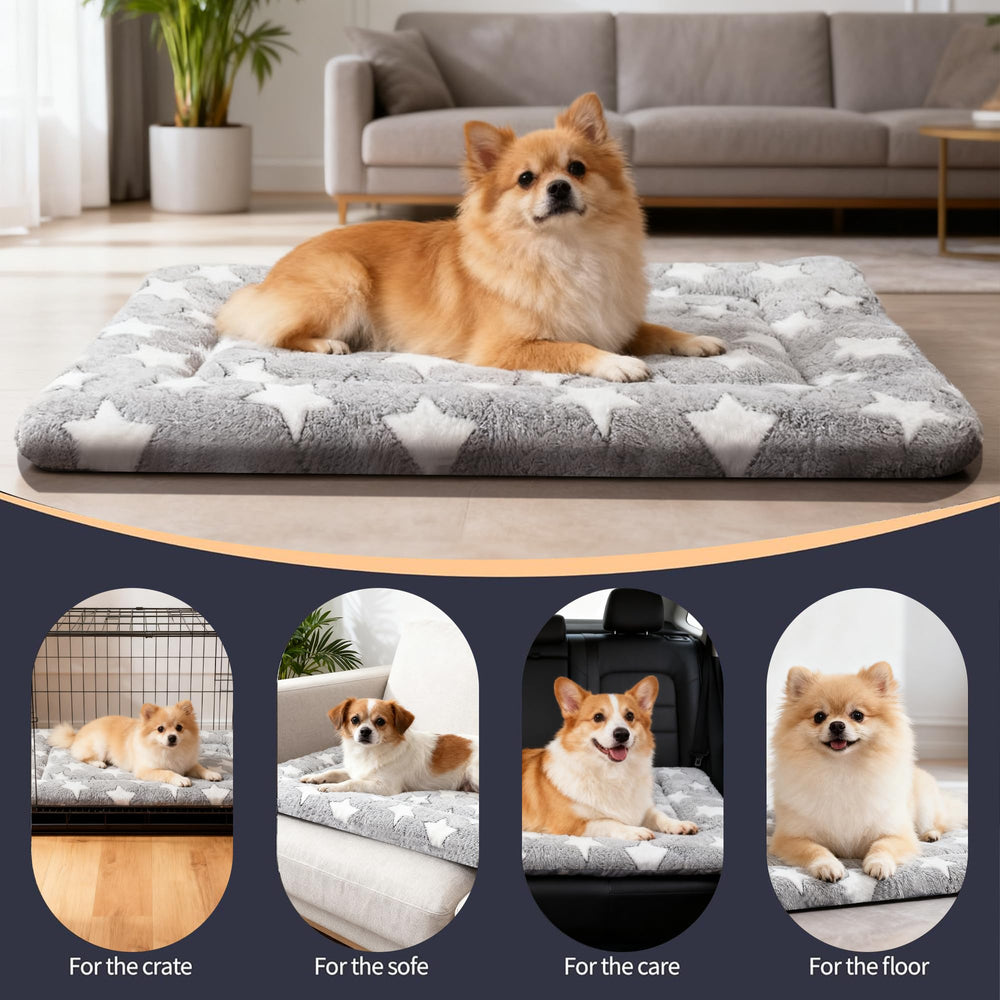 Tapis pobopobo léger et portable, idéal pour les déplacements avec votre animal.
