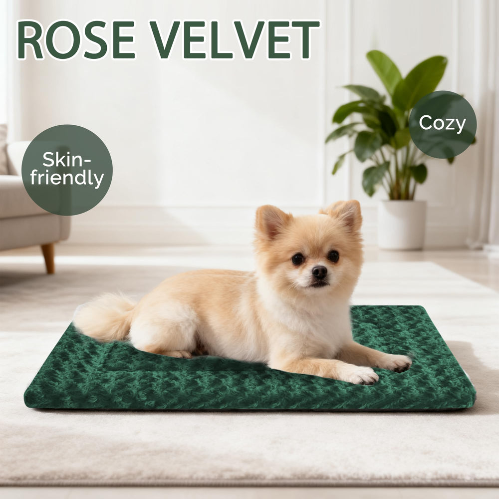 Pobopobo Tapis intérieur-extérieur pour chien, usage polyvalent et robuste