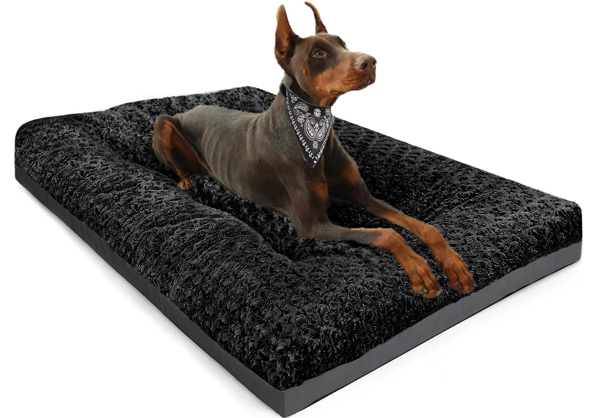 Lit pour chien POCBLUE Deluxe, vue d'ensemble axée sur le confort.