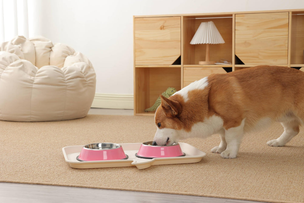 Podinor propose des bols en plusieurs tailles pour tous chiens