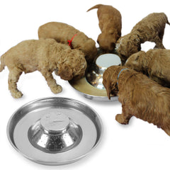 Podinor bols en acier pour chiots, lot de 2, pratique pour l alimentation quotidienne