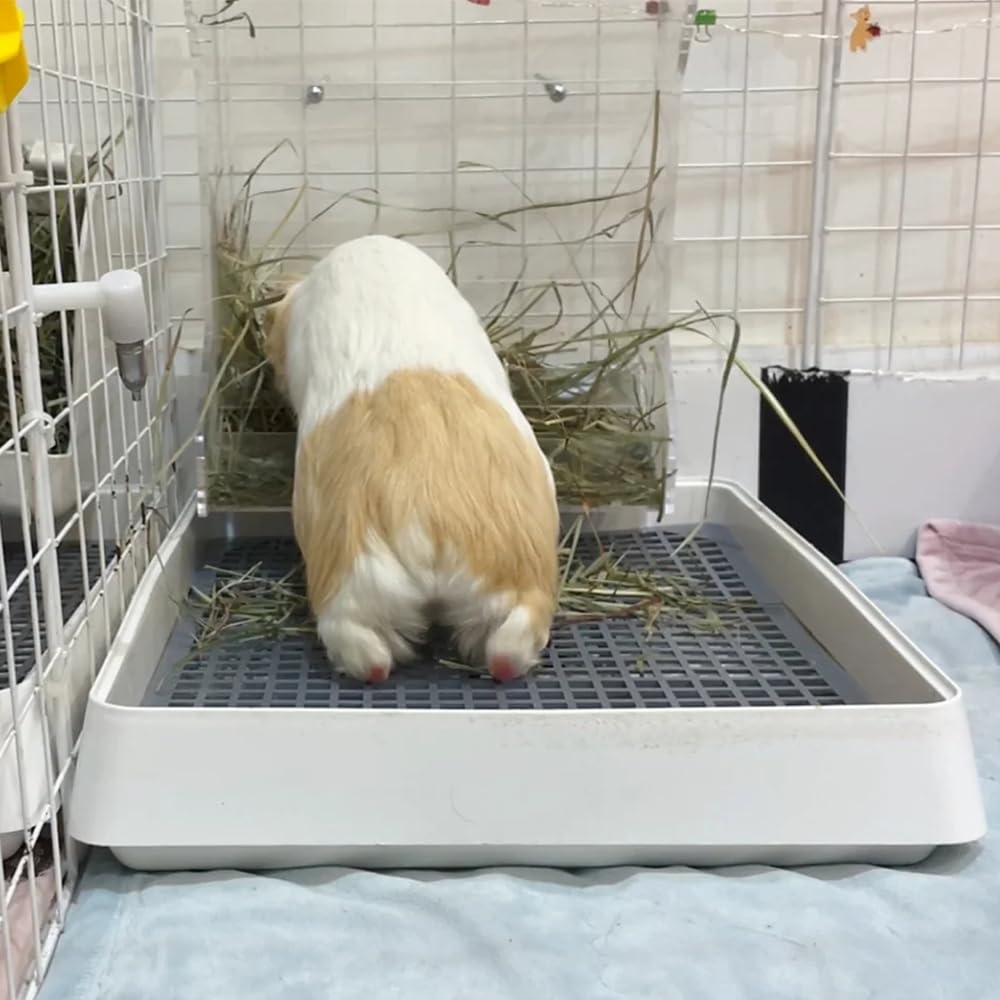 PODOO bac-litiere anti-odeur aide à maintenir une cage fraîche.