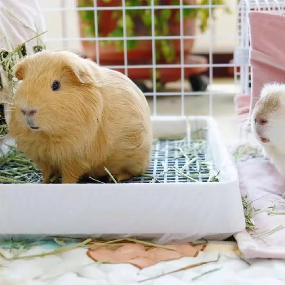 PODOO bac-litiere entree-faible facilite l'accès des petits animaux.