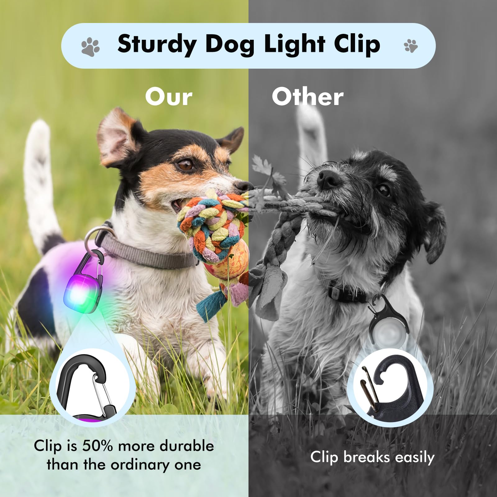 Clip POEEY durable pour collier chien, résistant au tirage.