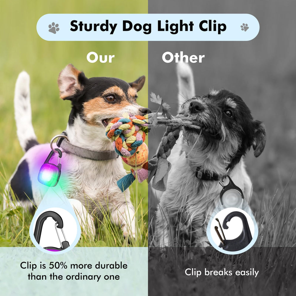 Clip POEEY durable pour collier chien, résistant au tirage.