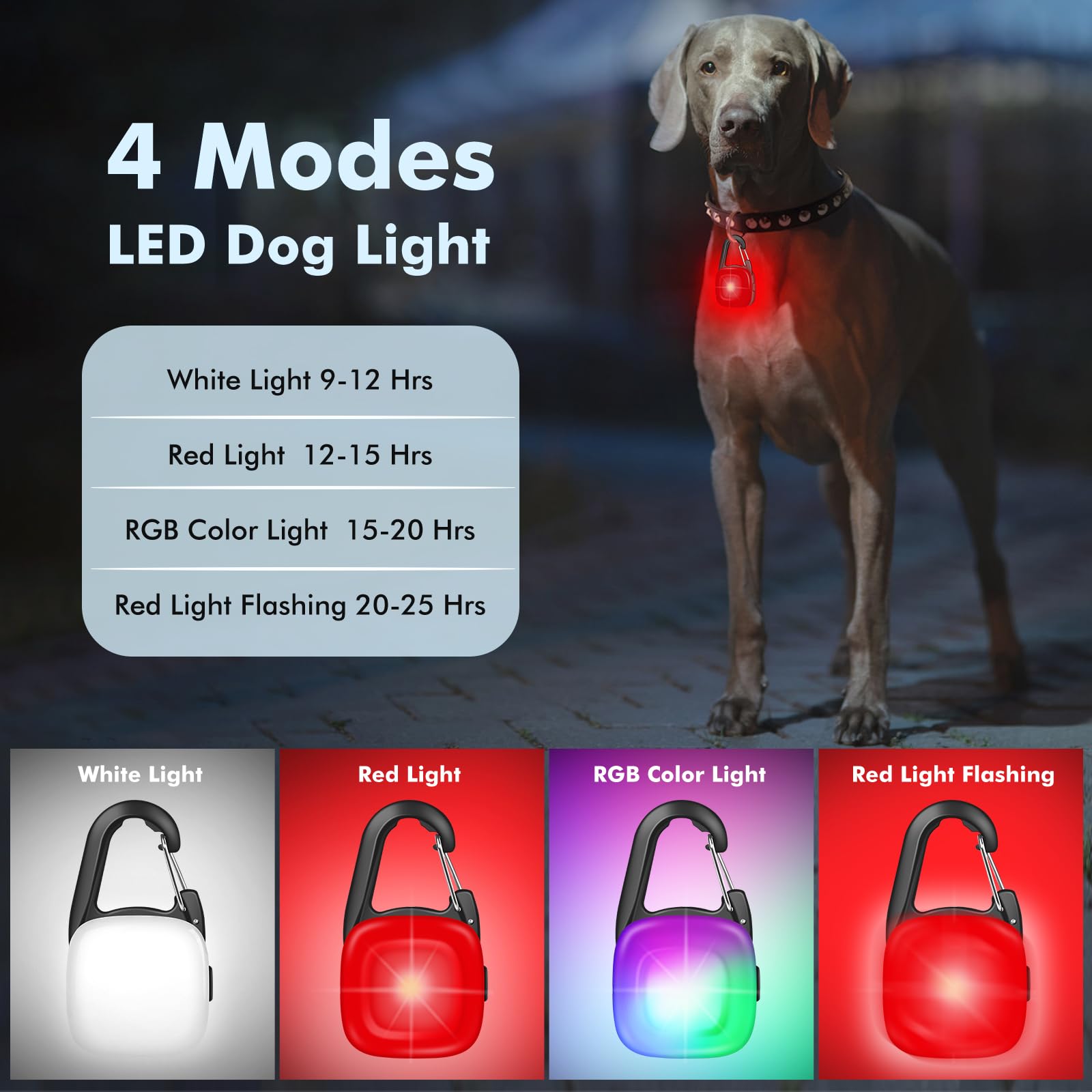 POOEY lumière blanche sur collier chien, mode 4 pour visibilité nocturne.