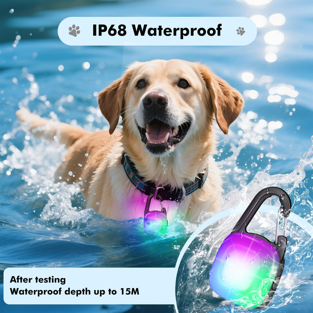 Poids léger POOEY, collier chien presque imperceptible pendant les jeux.