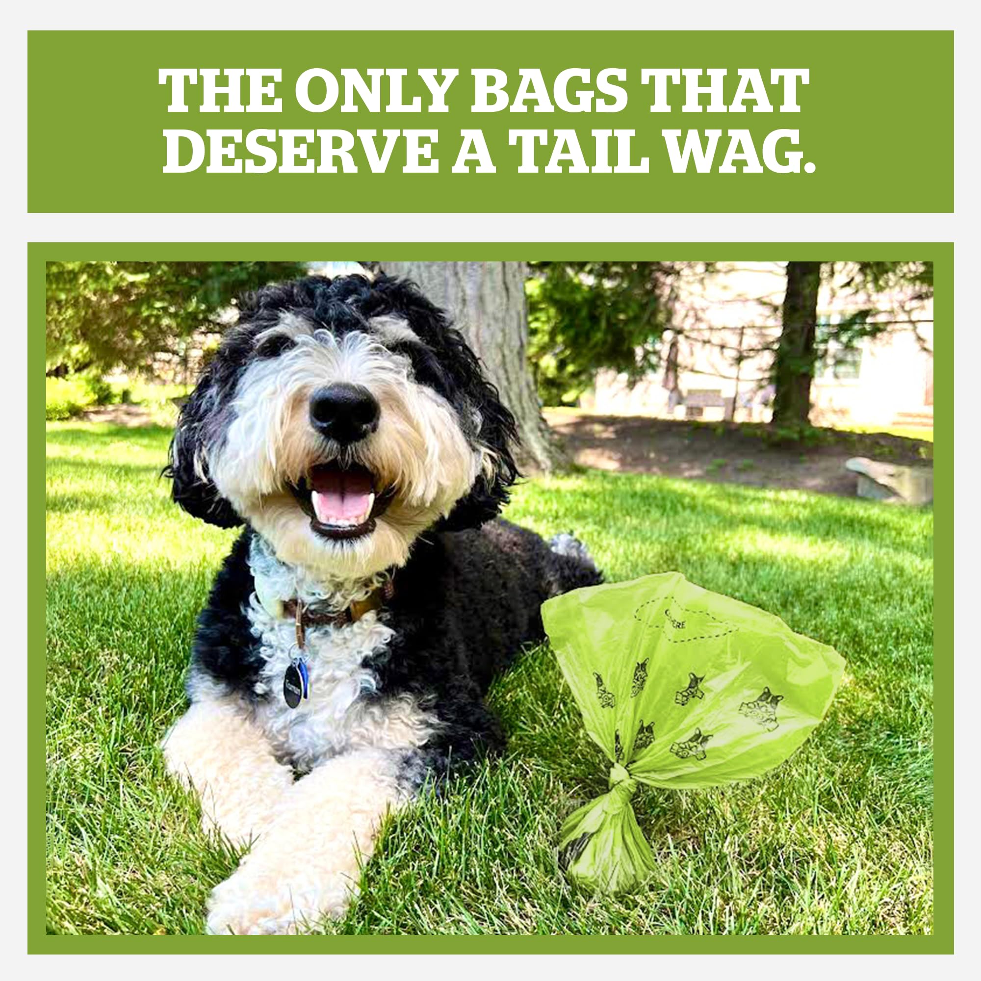 Sacs Pogi's Dog Poop Bags extra épais et anti-fuite pour chiens.