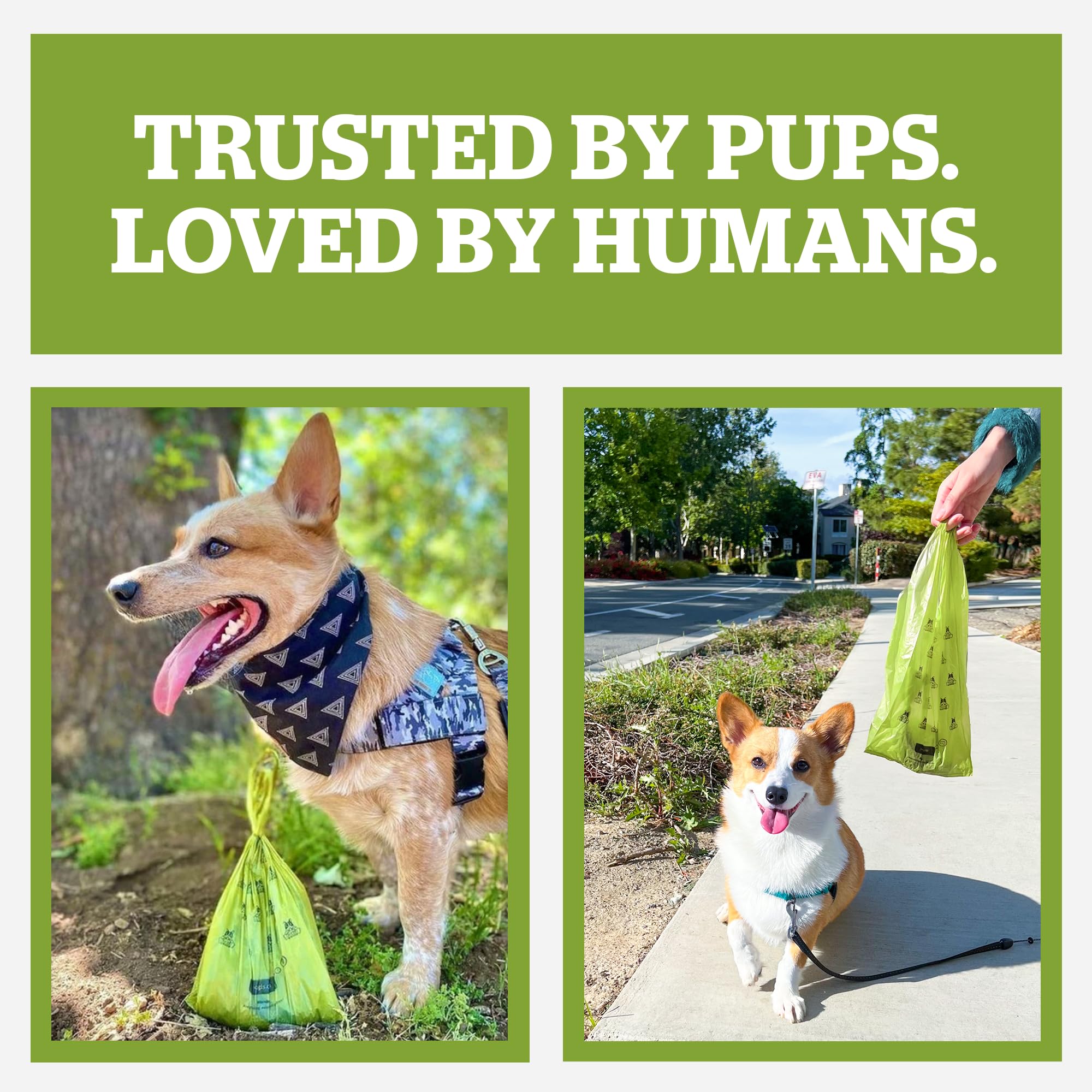 Lot Pogi's Dog Poop Bags 150 sacs pour plusieurs sorties.