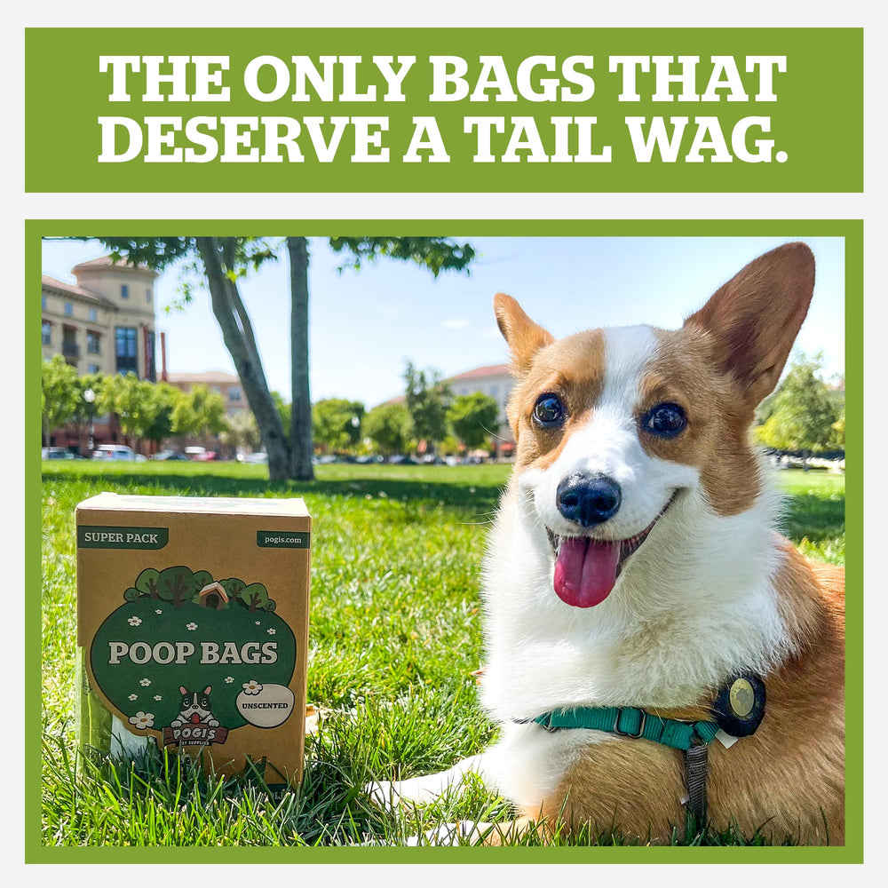 Pogi’s Sacs crottes chien parfum frais pour neutraliser les odeurs.