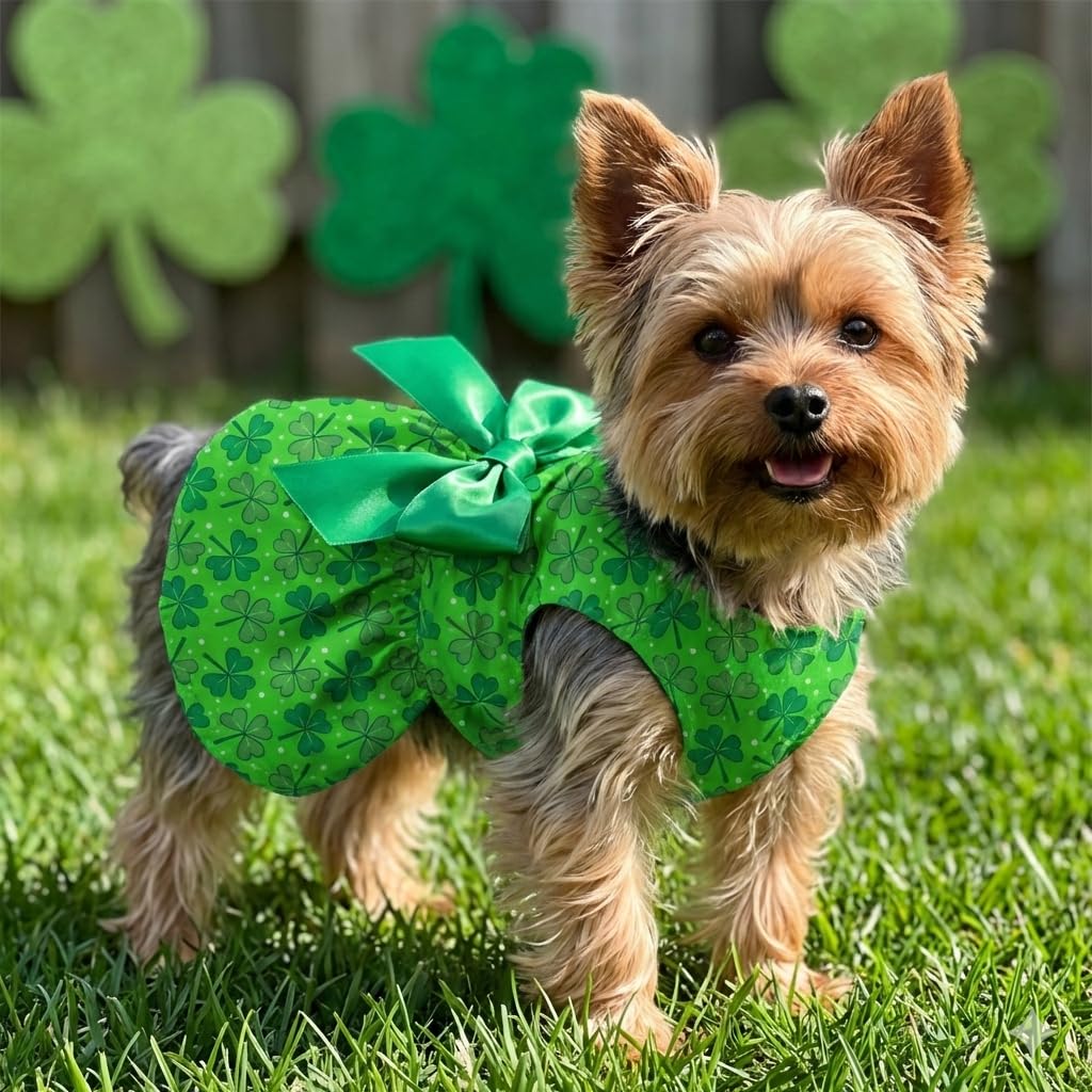 Robe Pohshido Saint-Patrick adaptée XS et S, idéale petites races