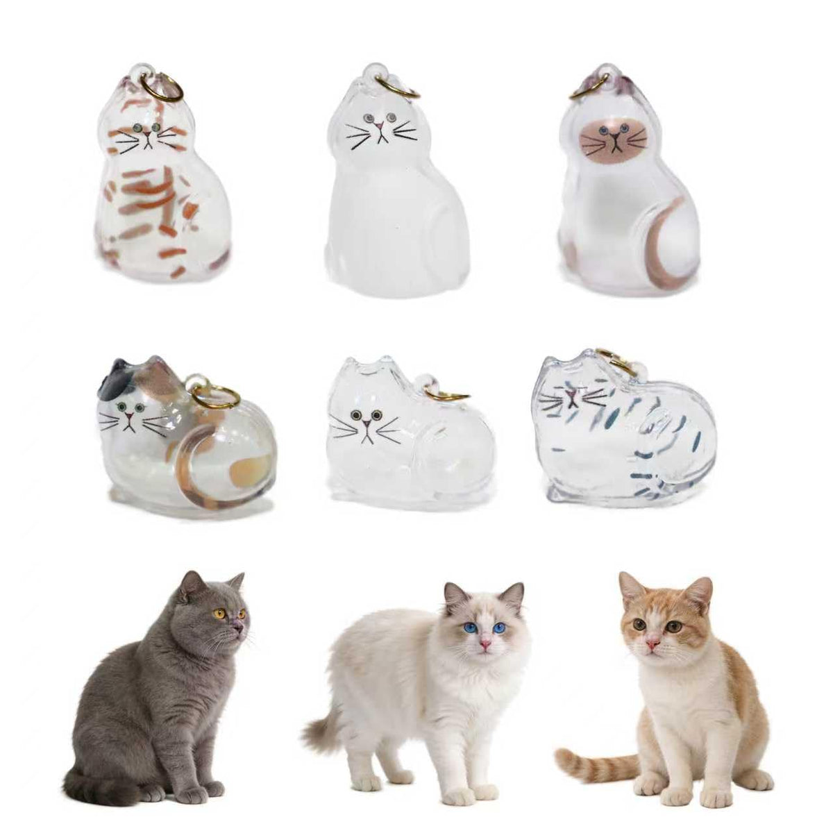 Porte-clés capsules transparentes pour poils de chat avec gravures variées, mémorial individuel.