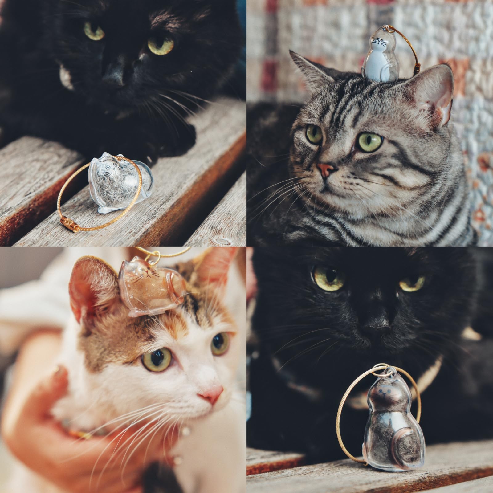 Usage multi-chat: mémorial distinct pour chaque chat, idéal pour partager en famille.