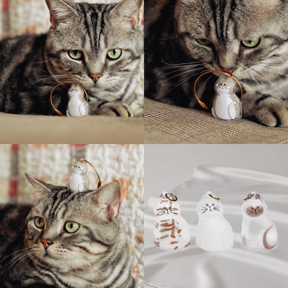 Emballage élégant prêt à offrir pour les amoureux des chats.