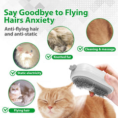 POIIOPY brosse vapeur chat, brume fine pour cheveux propres et soyeux