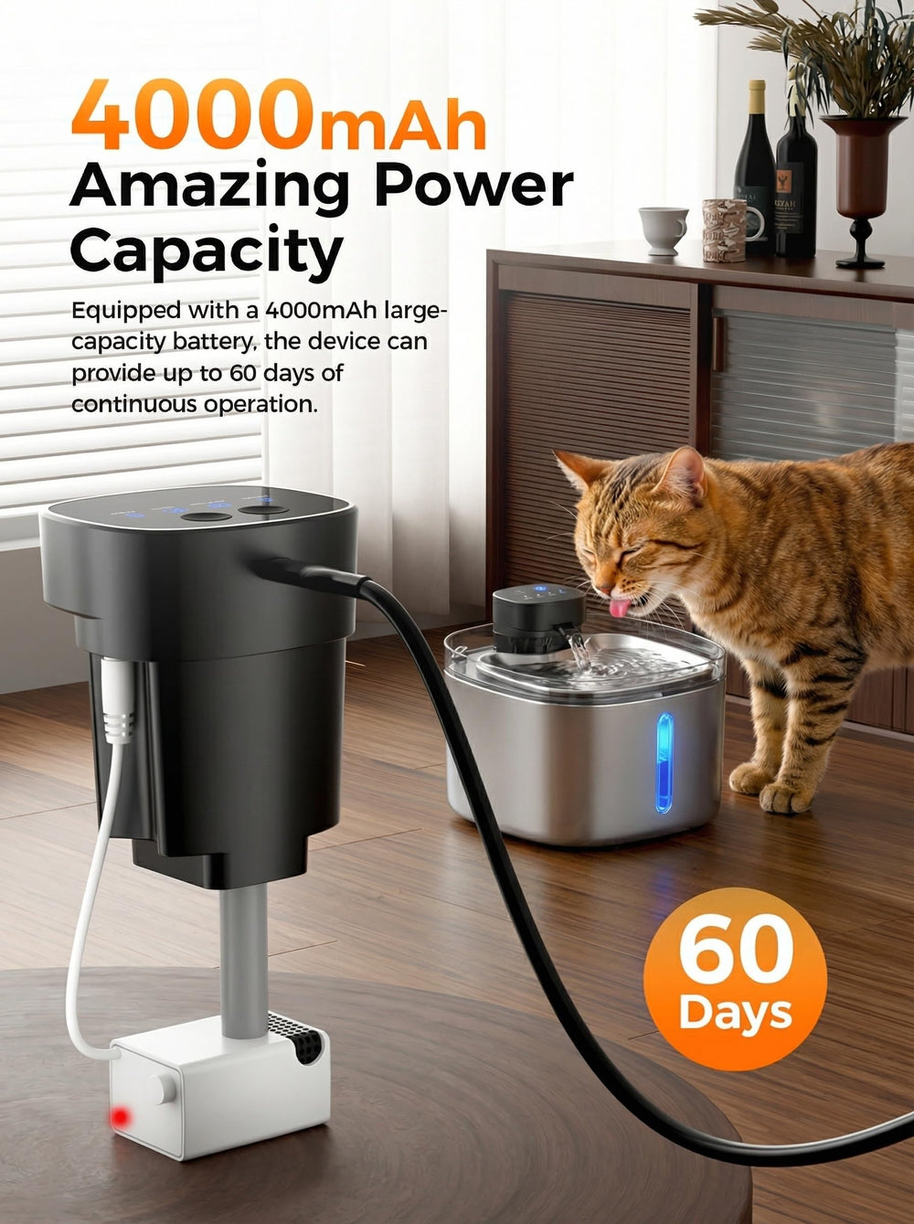 Pokpet capacité 5l eau, idéale pour plusieurs animaux et sessions prolongées