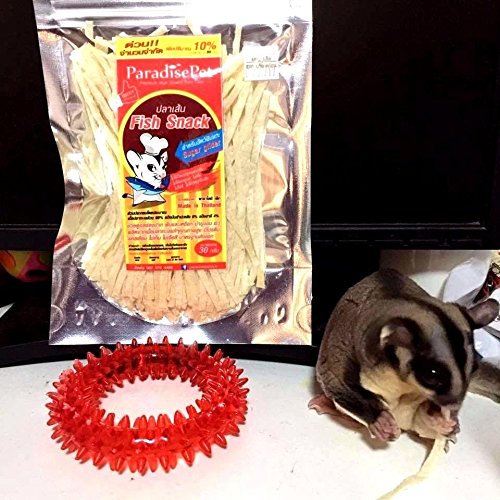 Friandise poisson Polar Bear's Pet Shop adaptée pour gliders à sucre et hamsters.