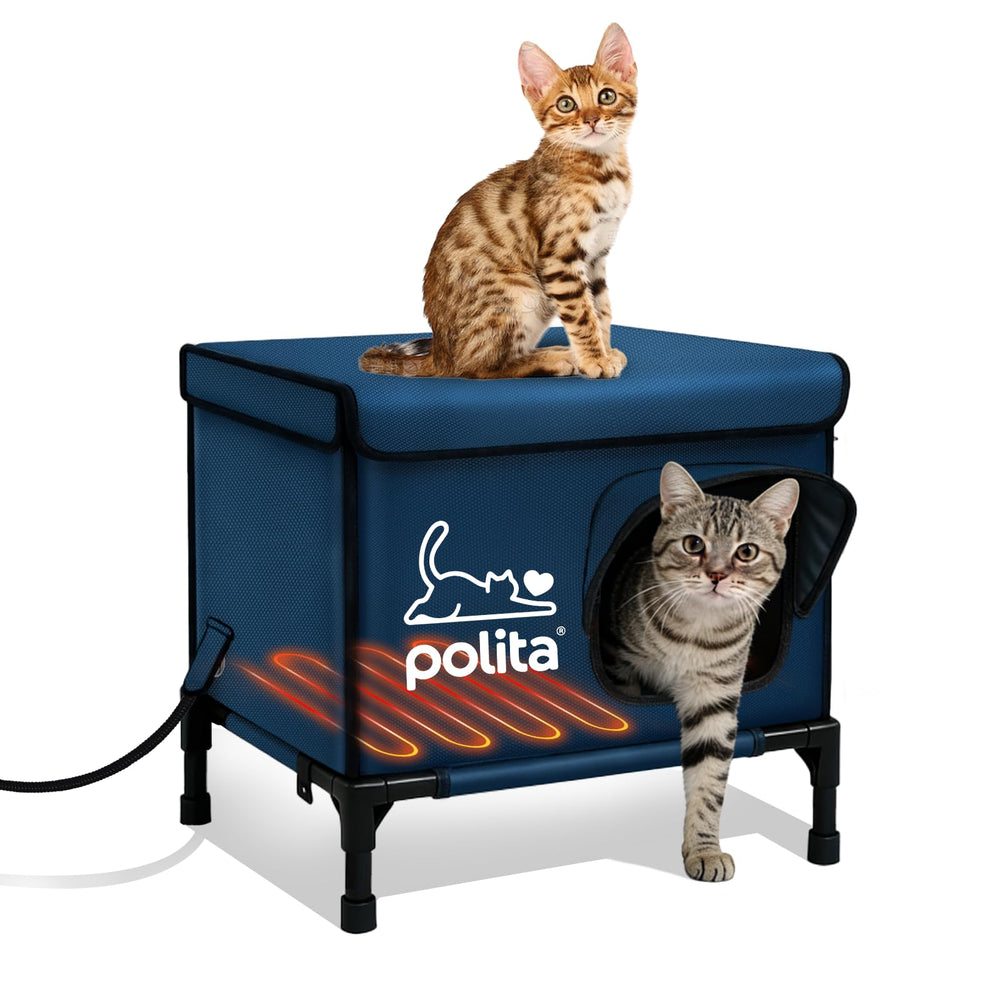 Polita Maison-Chat Chauffante Exterieur: isolation robuste pour chats en plein air.