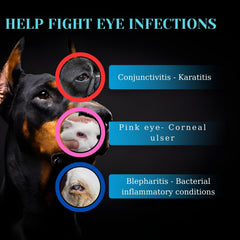POLKA Terramypol application facile sur les yeux des animaux