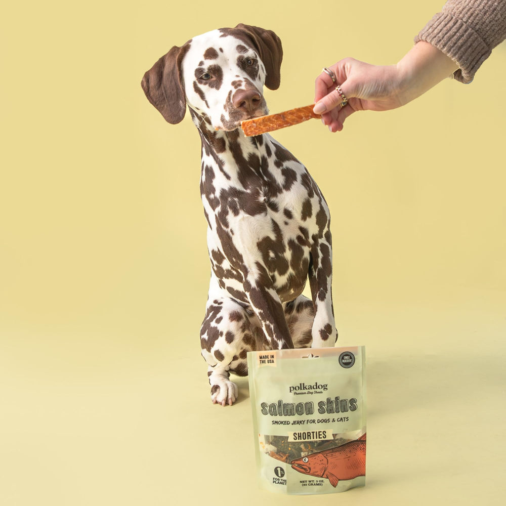 1% pour la planète: Polkadog s'engage, démarche écoresponsable.