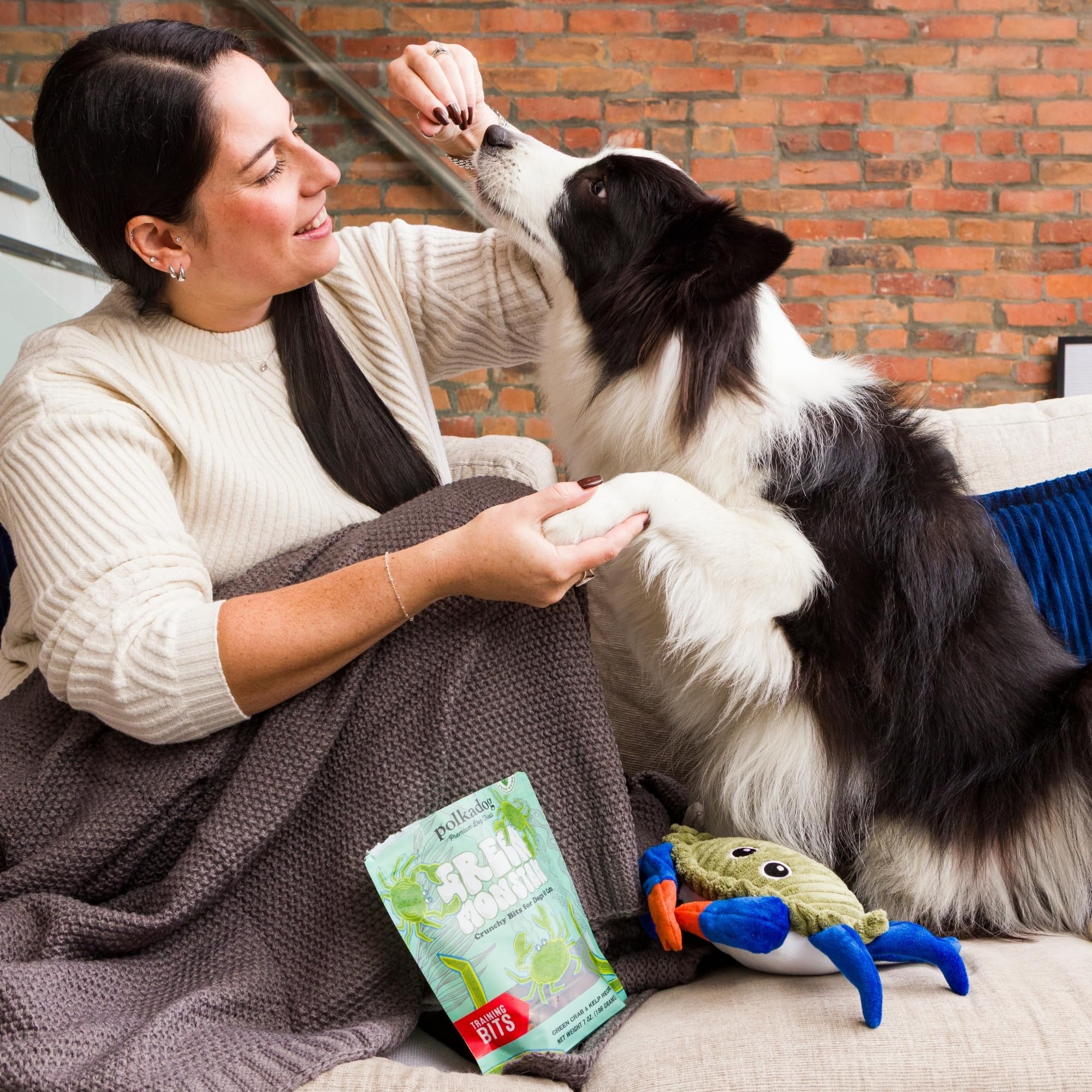 Polkadog allergies-sensibilites-dressage: recette adaptée pour chiens sensibles.