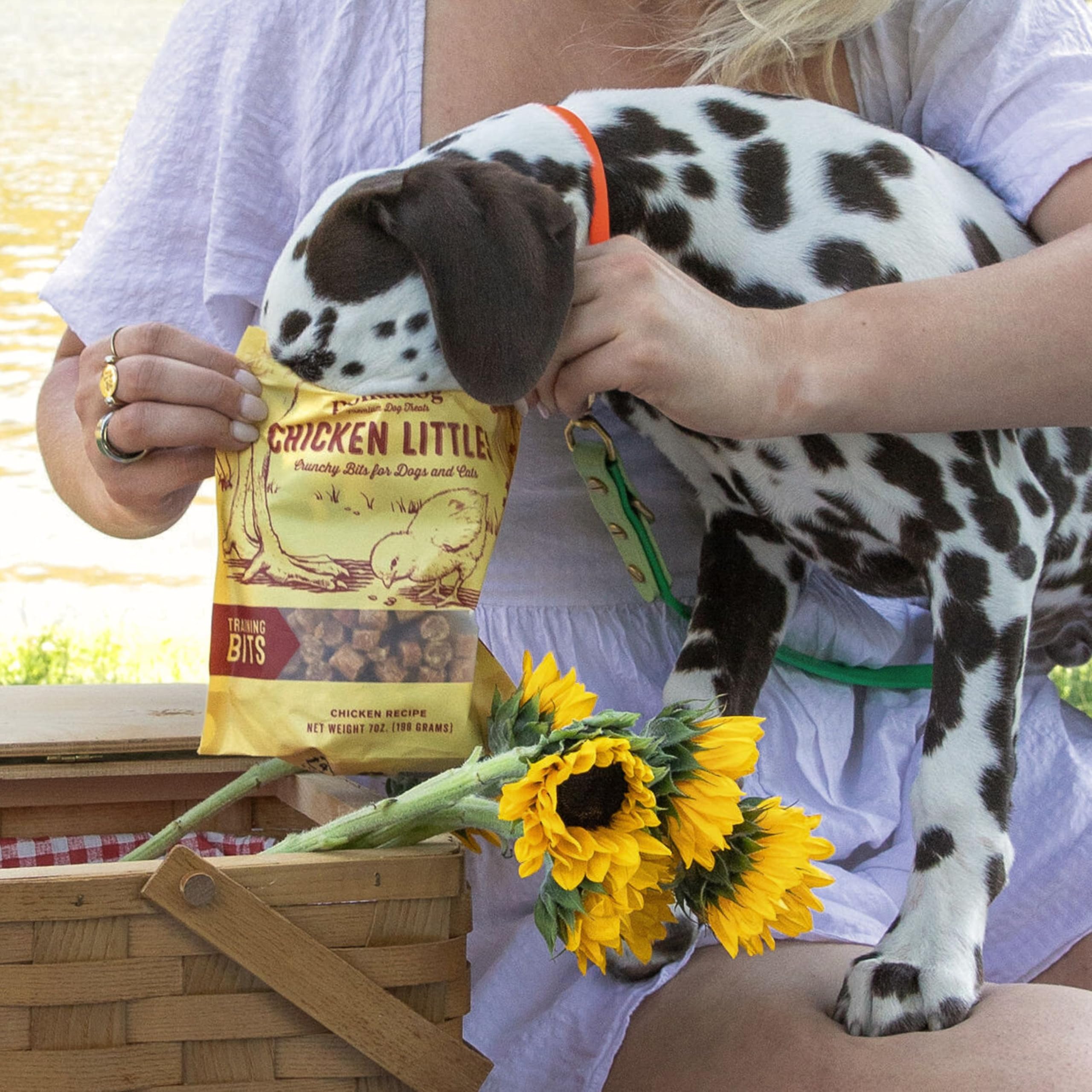 Polkadog arôme savoureux de poulet pour une récompense agréable en séance.