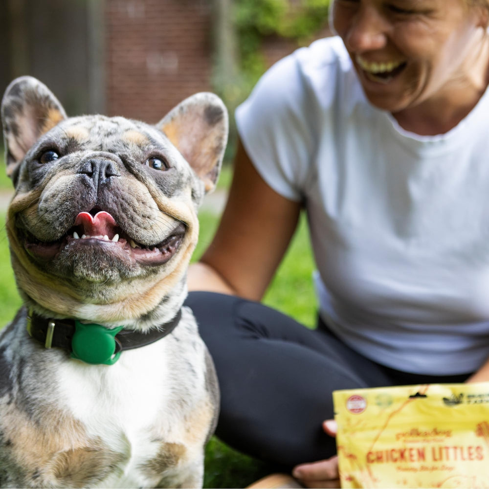 Polkadog bouchées poulet format compact pour entraînement répété sans surcharge calorique.
