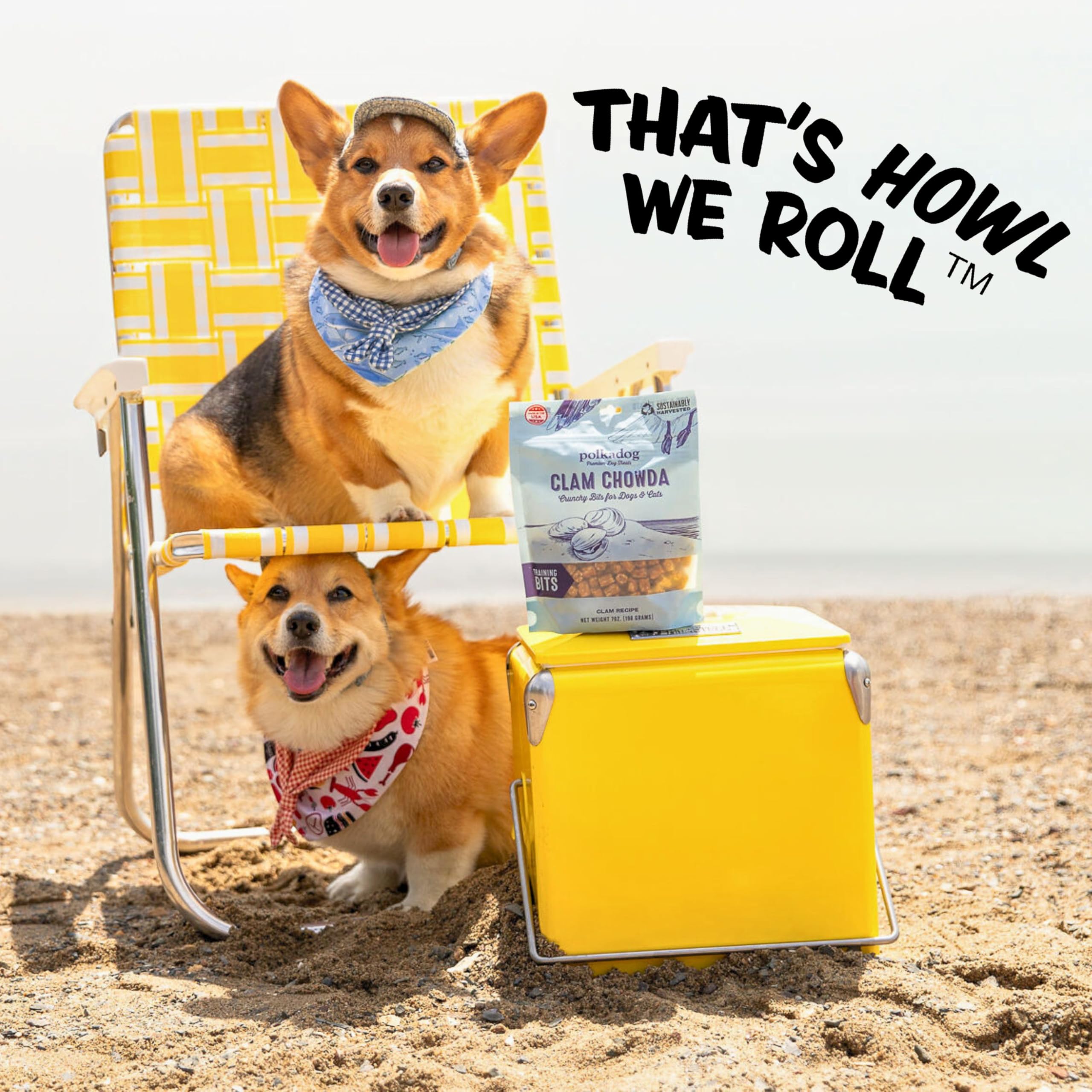 Polkadog – fabriqué aux États‑Unis, qualité artisanale locale.