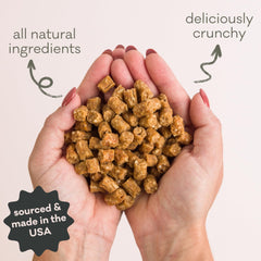 Polkadog – omega-3 saumon, soin du pelage et de la peau.