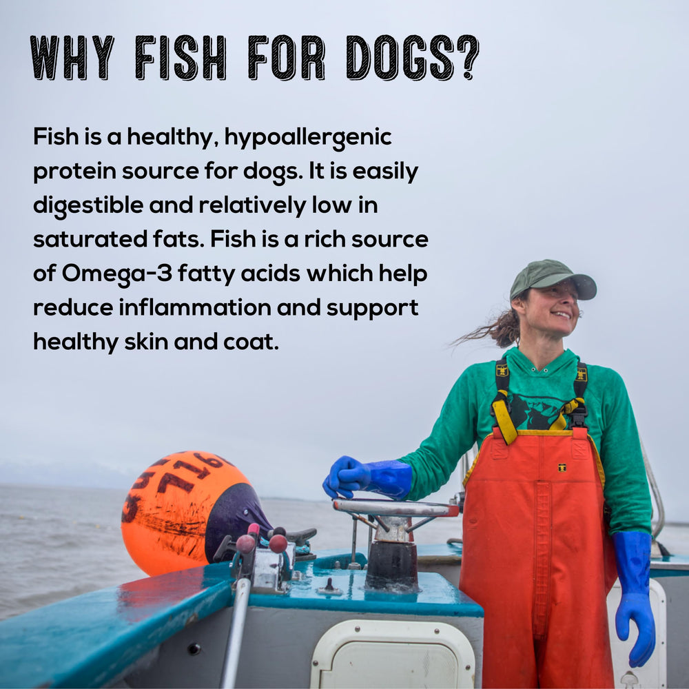 Polkadog Cod Skins: engagement 1% pour la planète, friandise durable.