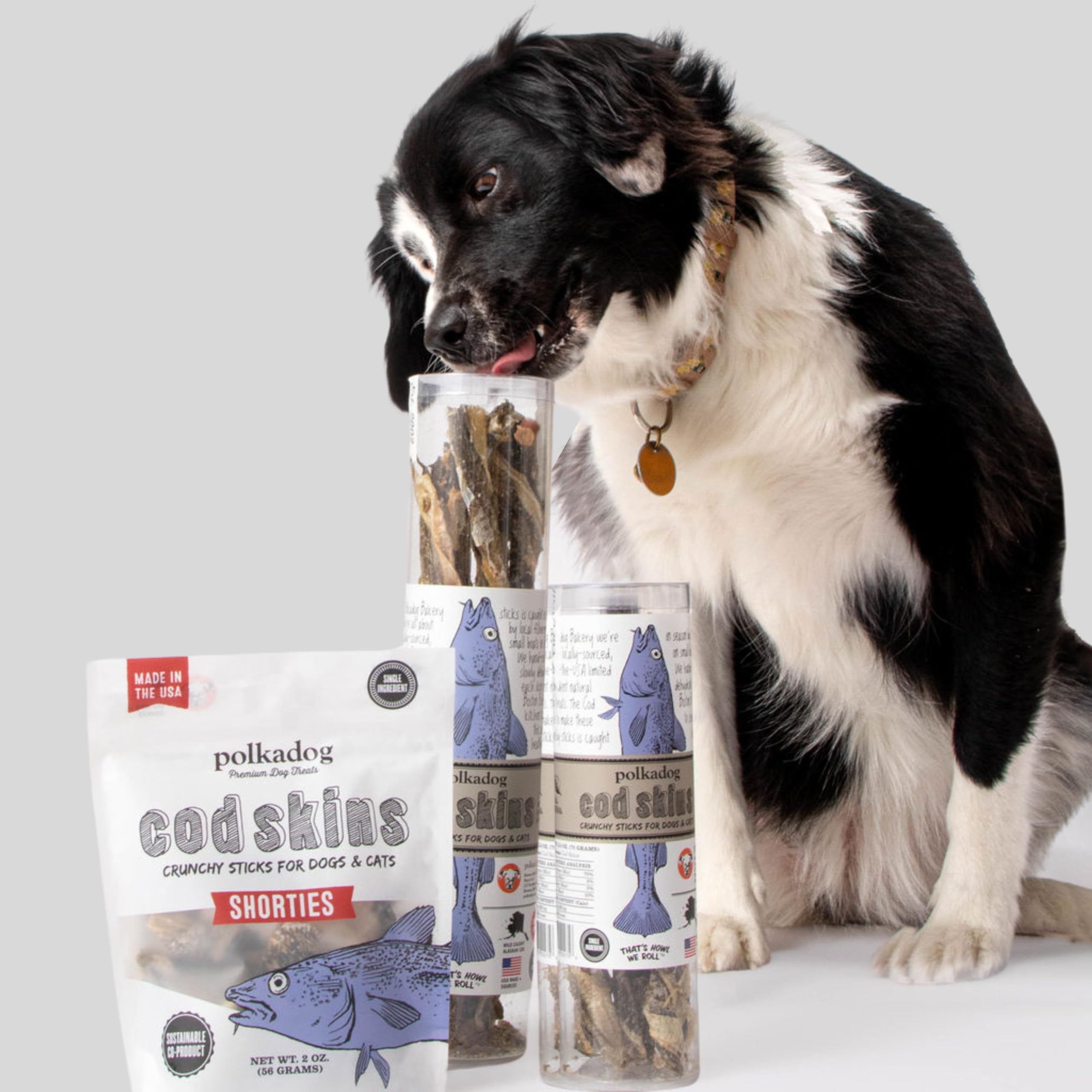 Polkadog convient à toutes tailles chiens : format pratique et croquant adapté.