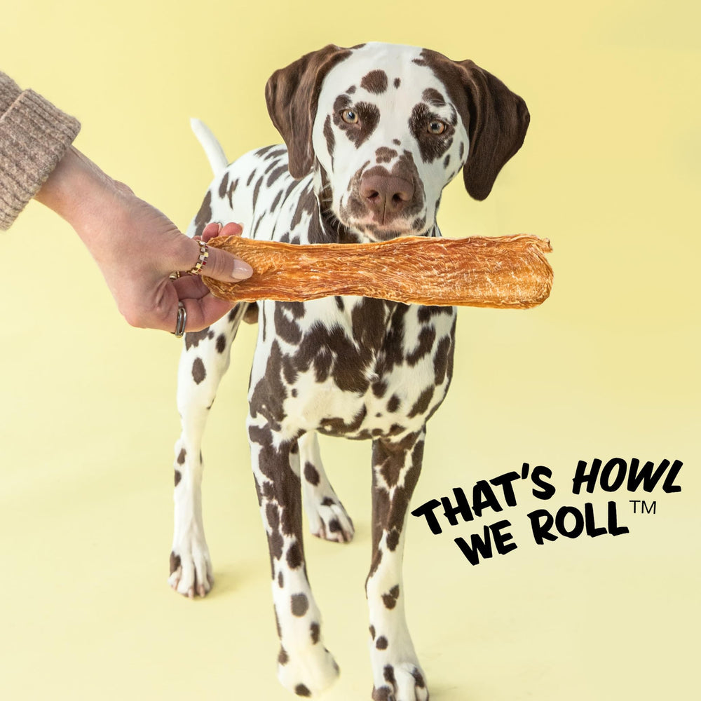 Friandise prête à offrir pour chiens et chats