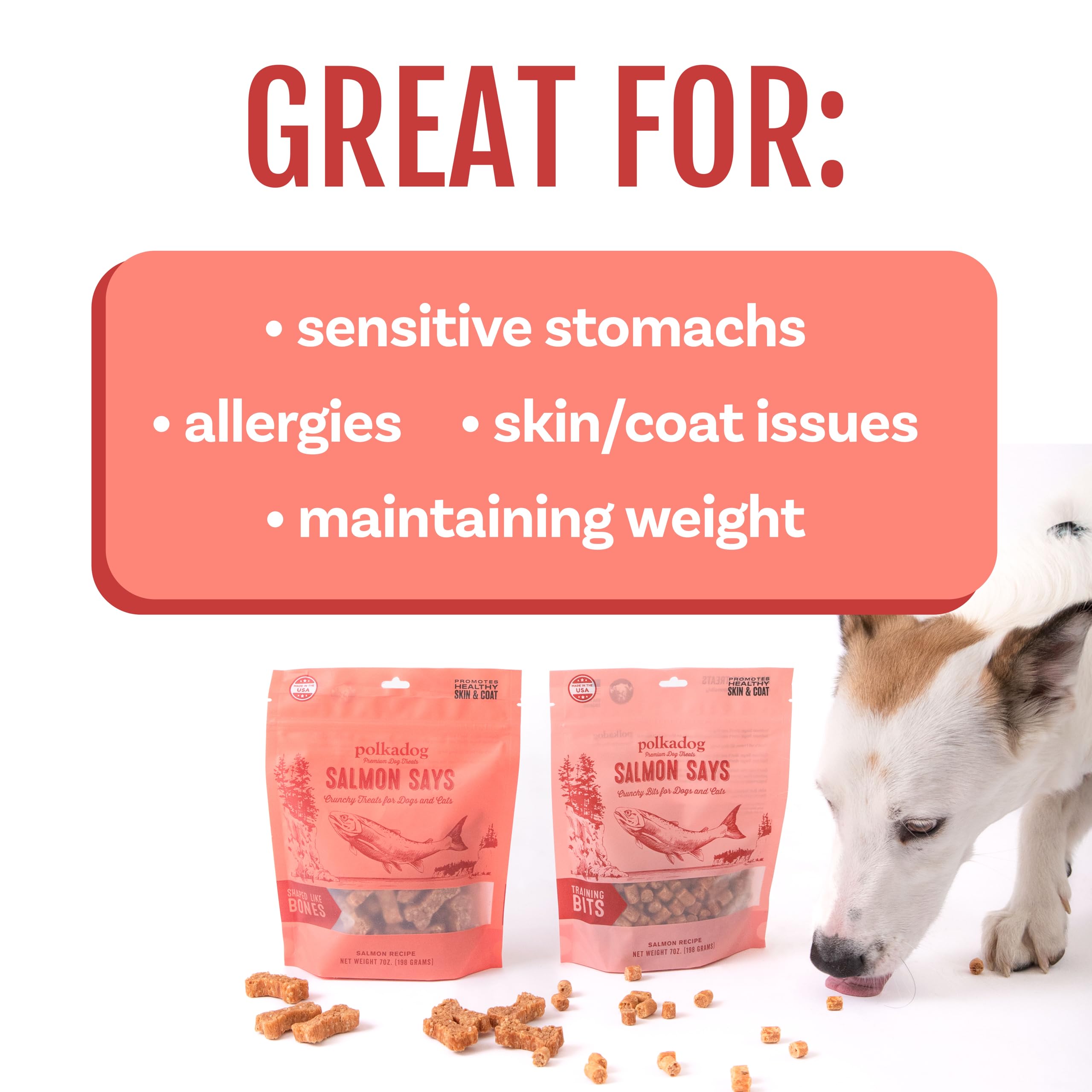 Polkadog ingredients-limites formule simple sans additifs inutiles.