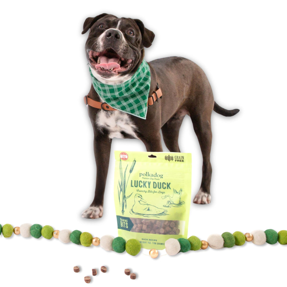Ingrédients locaux et frais, Polkadog Lucky Duck, choix responsable pour chiens.