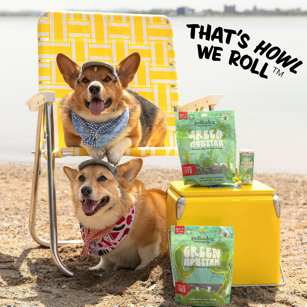 Polkadog peau-poil-omega3: oméga-3 pour peau saine et pelage brillant.
