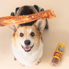 Tranche épaisse poulet Polkadog, texture satisfaisante pour chien