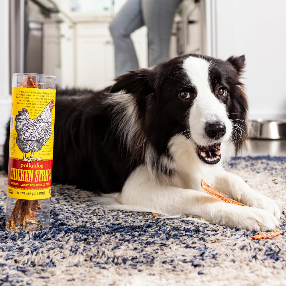 Sans additifs artificiels – friandise poulet Polkadog