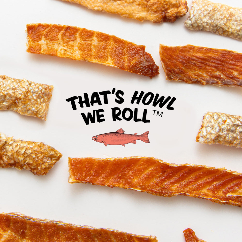 Polkadog sans céréales, option hypoallergénique pour ventres sensibles.