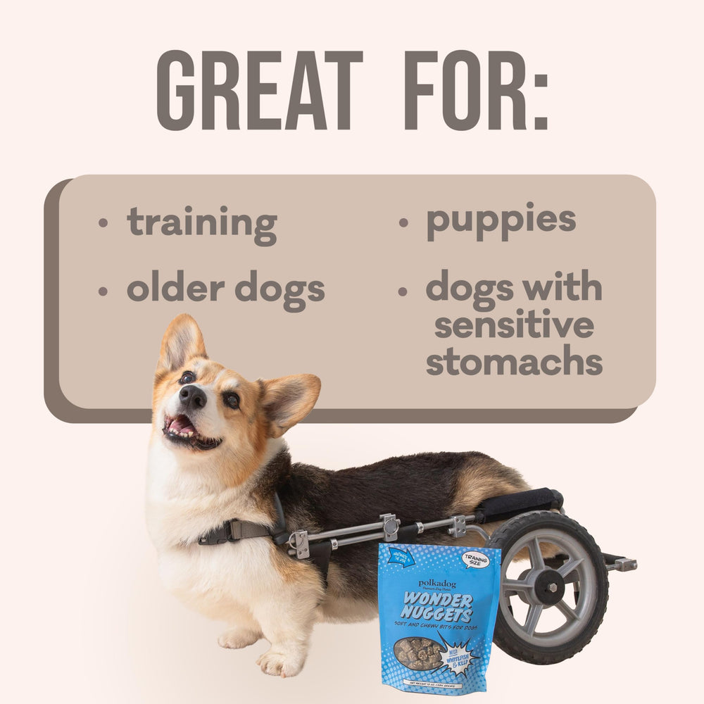 Polkadog Wonder Nuggets, calories faibles pour récompenser sans culpabilité.