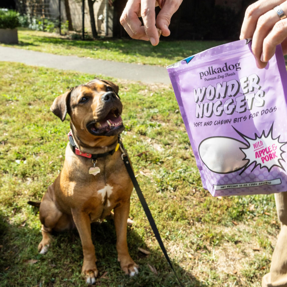 Polkadog Wonder Nuggets – taurine naturelle, soutien possible pour le bien-être général.