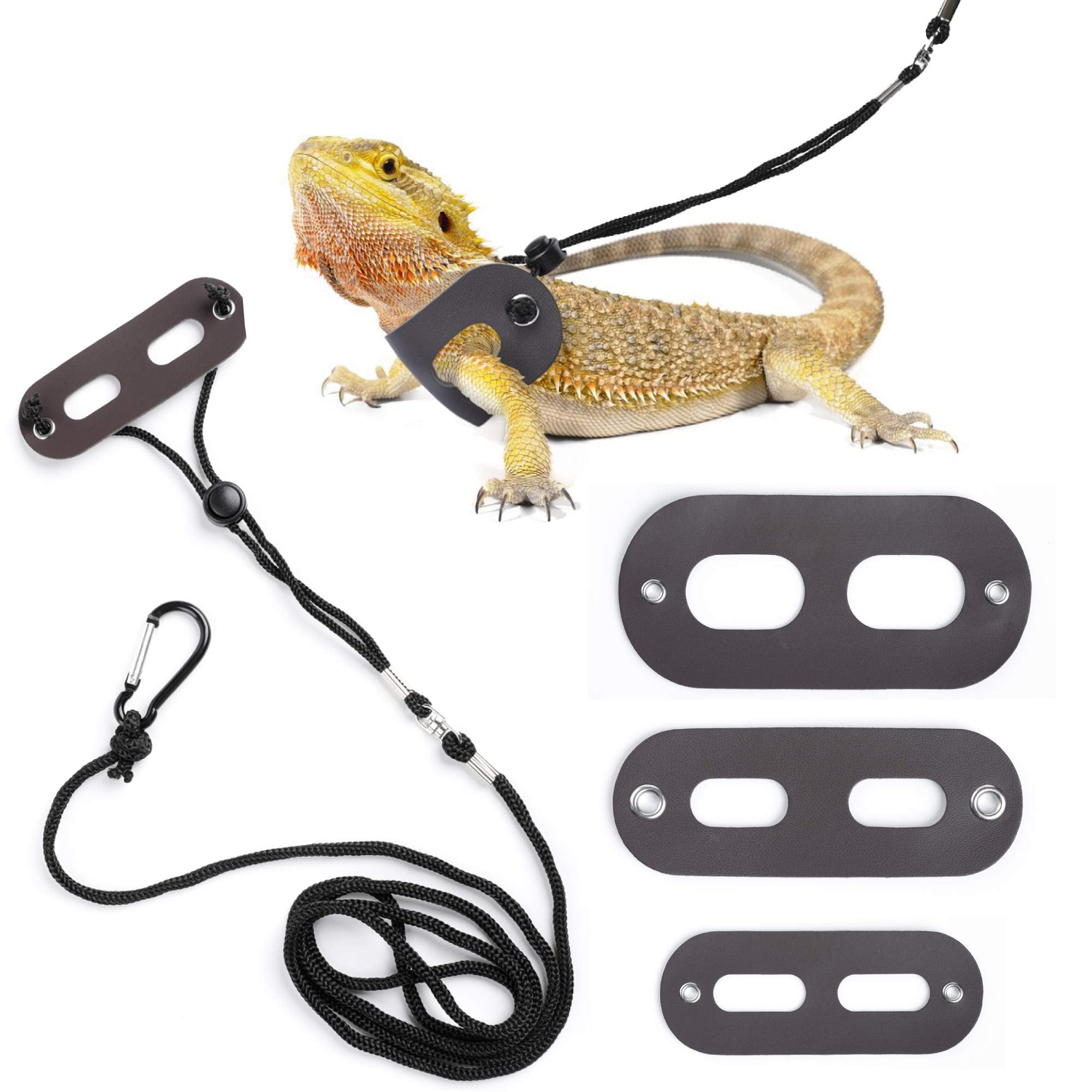 Harnais POLKASTORE en cuir doux pour reptiles, confort lors des promenades.