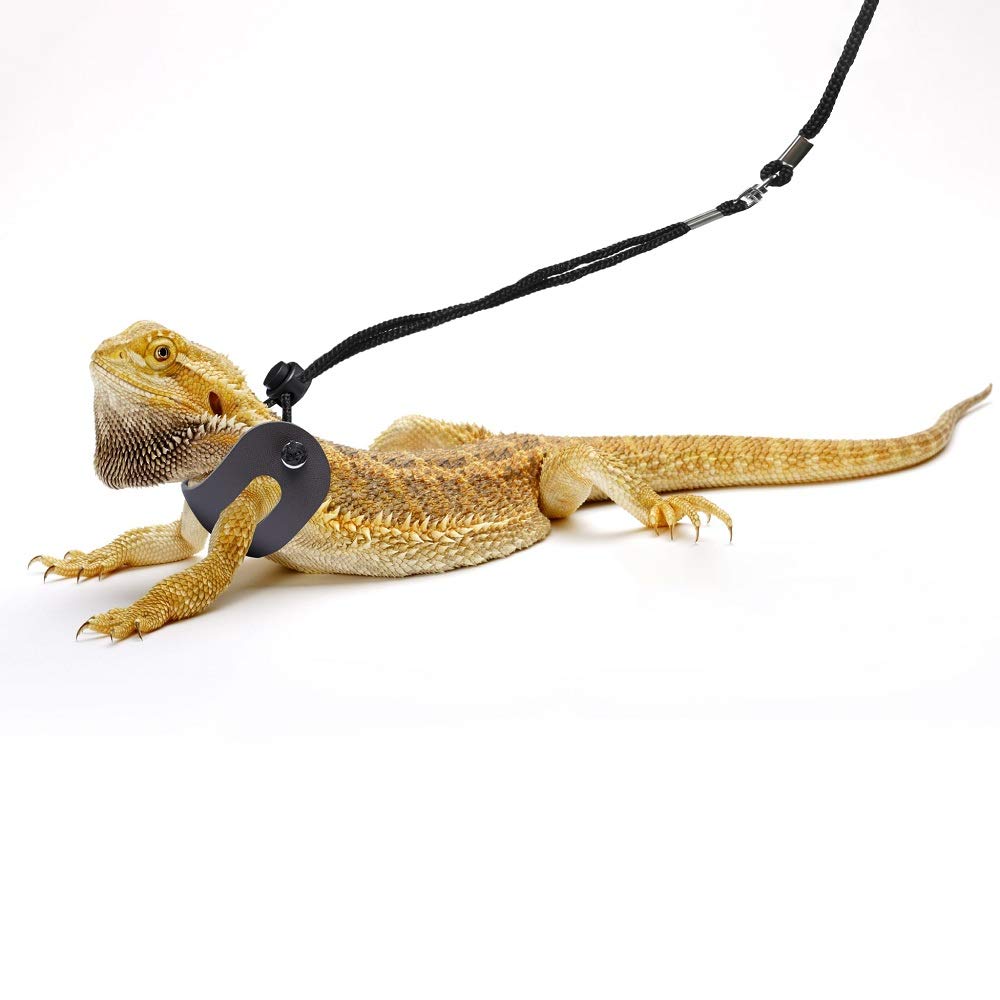 Conception sécurisée POLKASTORE pour petits animaux et reptiles pendant les balades.