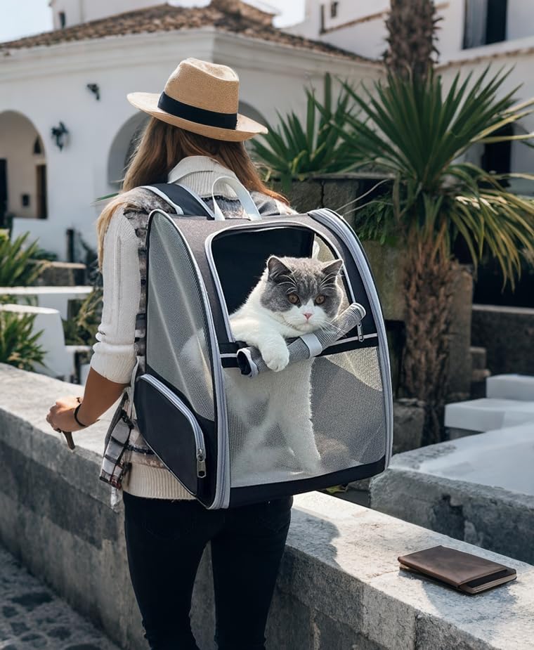 Pollason sac-dos, bandes réfléchissantes pour promenades en soirée.