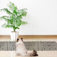 Pomeat Tapis scat chat anti-griffure pour canapé et meubles.
