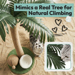 POMESEA texture en jute naturelle douce pour les pattes sensibles.